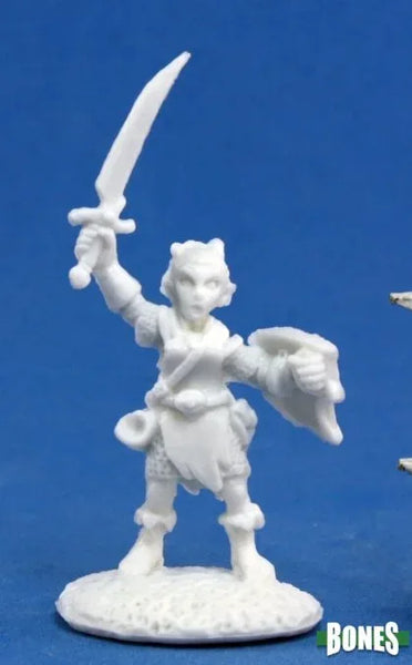 Elliwyn Heatherlark, Gnome Bard 77164