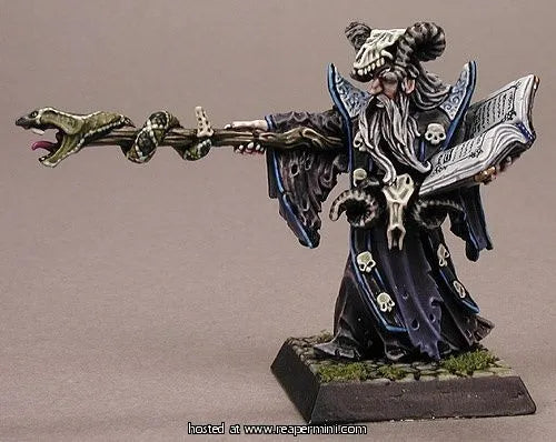 Leisynn, Mercenary Mage 77174