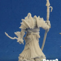 Eregris Darkfathom, Evil High Sea Priest 77215