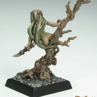 Drys Dryad 77265