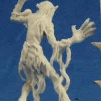 Sea Hag 77276