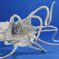 Kraken 77291