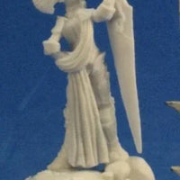 Female Paladin 77302