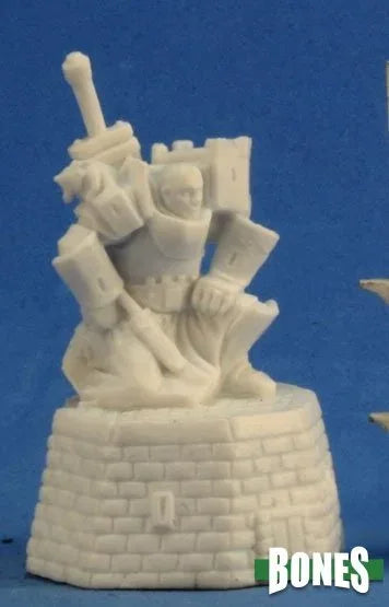 Male Paladin 77303