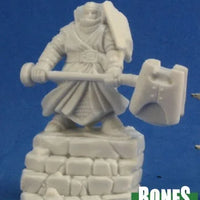 Male Thunderknight 77304