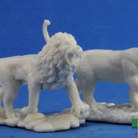 Lions (2) 77341