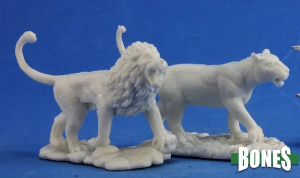 Lions (2) 77341