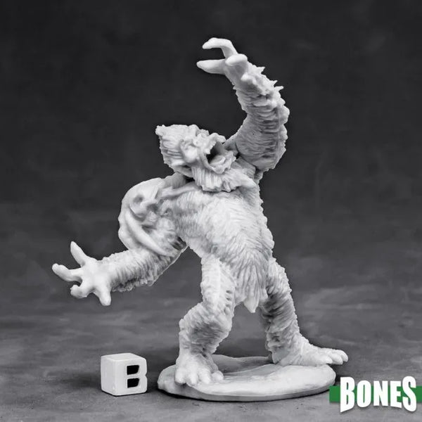 Yeti Chieftain 77434