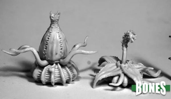 Death Star Lilies (2) 77504