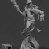 Female Wraith 77536