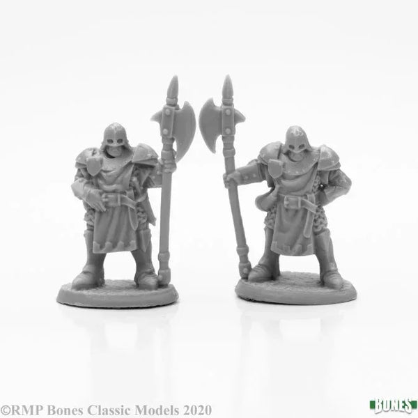 Town Guard (2) 77654