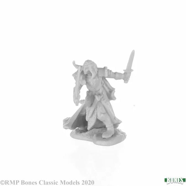 Aravir, Elf Ranger 77677