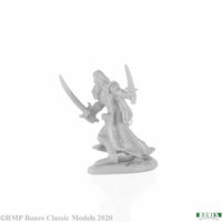 Aravir, Elf Ranger 77677