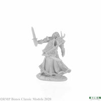 Aravir, Elf Ranger 77677