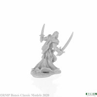 Aravir, Elf Ranger 77677