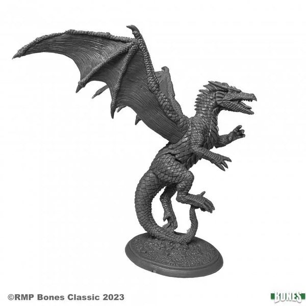 Amber Dragon 77687