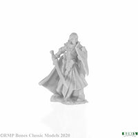 Alandin, Elf Paladin 77743