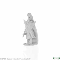 Alandin, Elf Paladin 77743