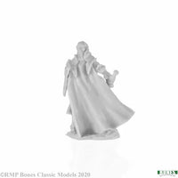 Alandin, Elf Paladin 77743