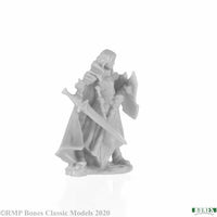 Alandin, Elf Paladin 77743