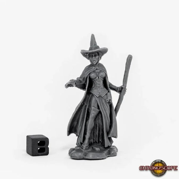 Wild West Wizard of Oz Wicked Witch  80060
