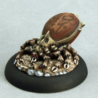 Prarie Tick Queen 91006