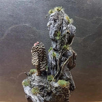 Stein: Rinde (Beutel)