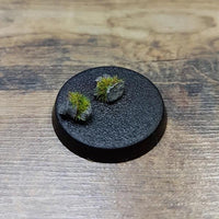 Basalt Rock Summer Grass 50