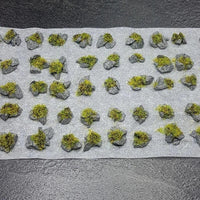 Basalt Rock Summer Grass 50