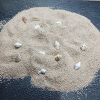 Beach Ground- Landschap materiaal