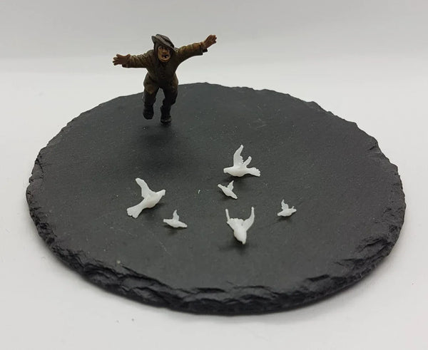 Pigeons (6)