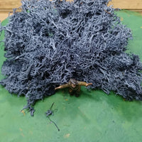 IJslands Mos Antraciet 20 gram