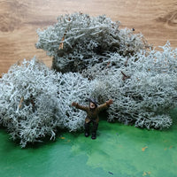 IJslands Mos Grijs 20 gram