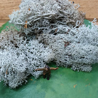 IJslands Mos Grijs 20 gram