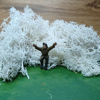 Icelandic Moss Off-White 20 grams