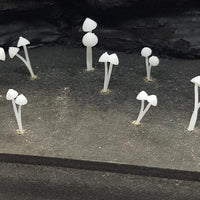Mushrooms (9) Pointed Hat
