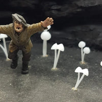 Mushrooms (9) Pointed Hat