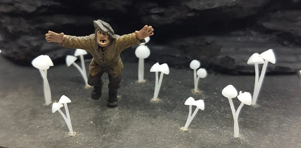 Mushrooms (9) Pointed Hat