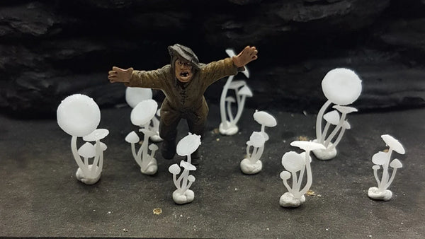 Mushrooms (9) Flat Cap