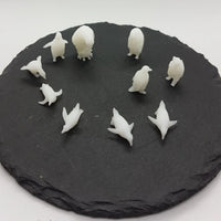 Pinguine (10)
