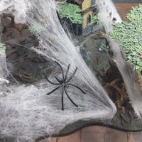 Spinnenweb / Spiderweb Wit