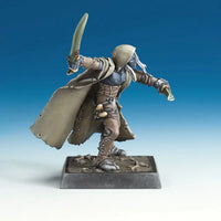 Tharnyx Shadeborn, Elf Rogue 30244