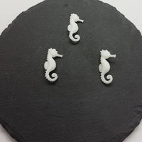 Seepferdchen (3)