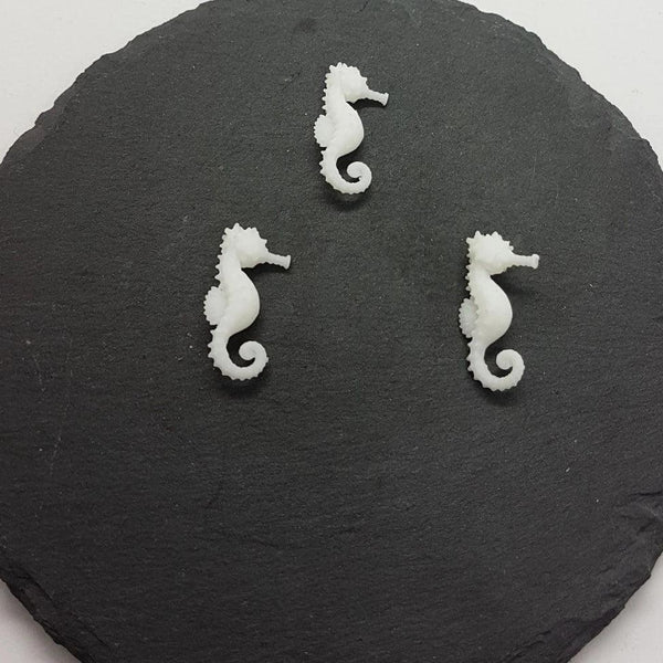 Seepferdchen (3)