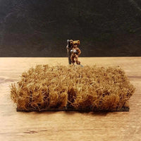 Akkerveld