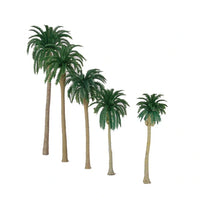 Palmbomen (Kokosnoot) 10 stuks