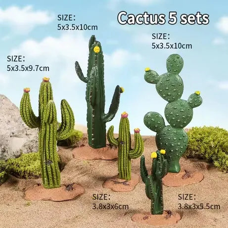 Kaktus-Set, 5-teilig